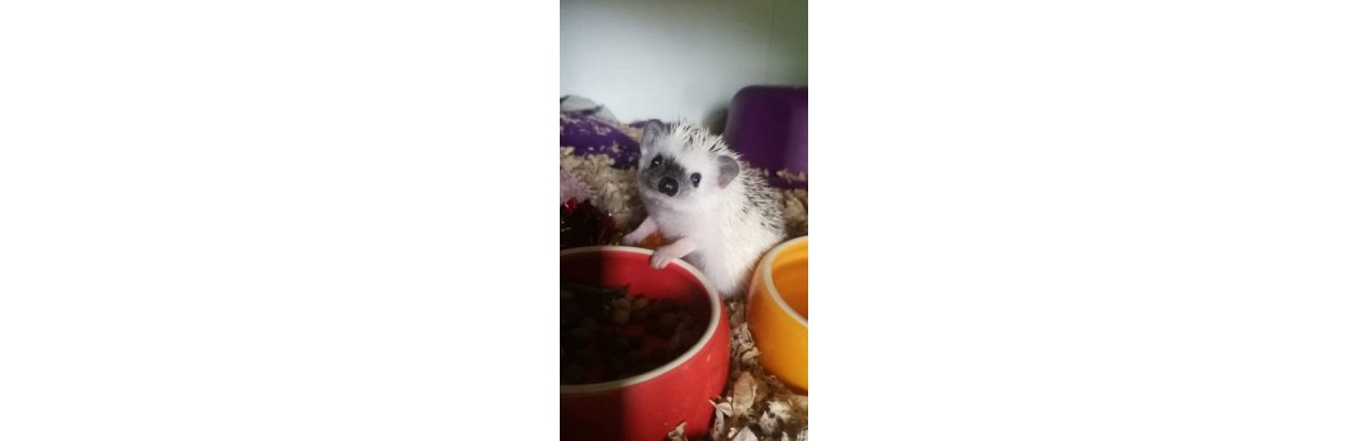 <u><em><strong>Åh... Jeg er lækkersulten ;o)</strong></em></u><br>