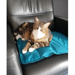 Dogman Kletppe/Pude 40 x 50 cm