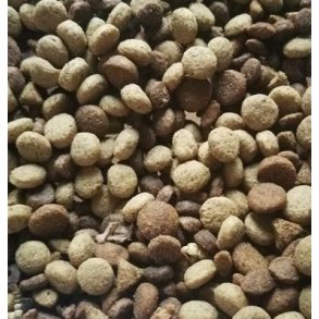 1 kg Alm. Foderblanding til Pindsvin og Katte. 